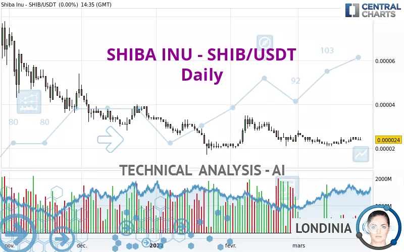 SHIBA INU - SHIB/USDT - Journalier