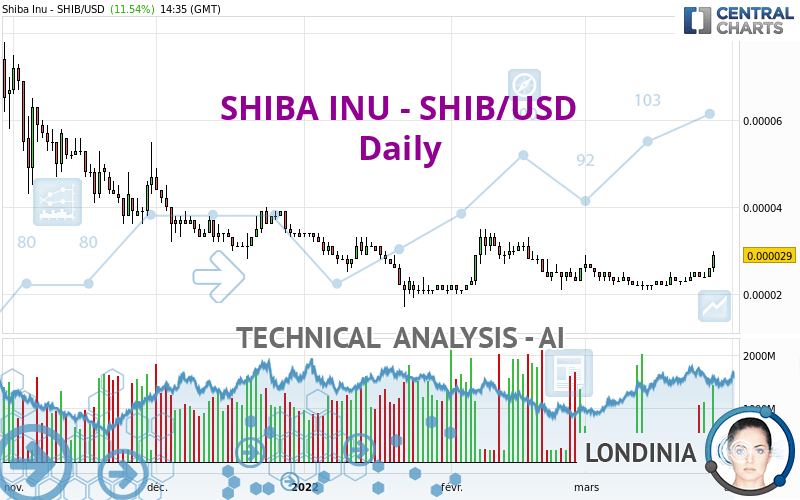 SHIBA INU - SHIB/USD - Diario