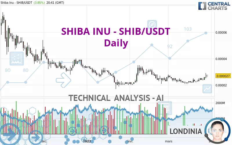 SHIBA INU - SHIB/USDT - Dagelijks