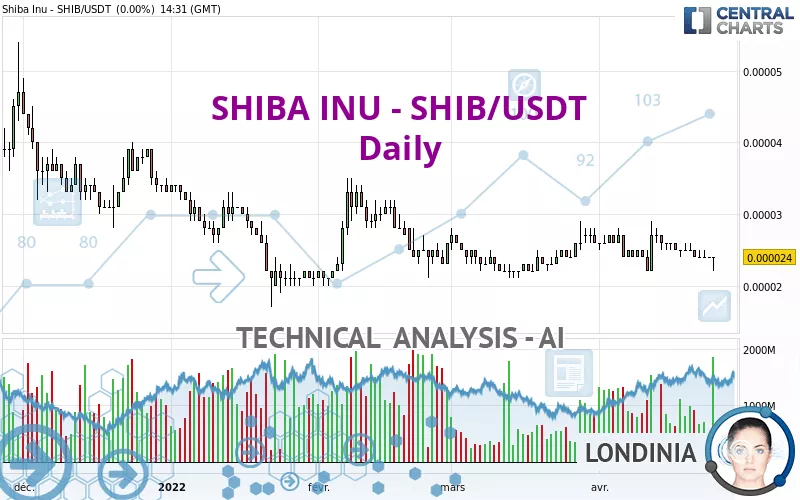 SHIBA INU - SHIB/USDT - Dagelijks