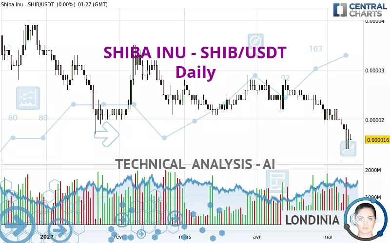 SHIBA INU - SHIB/USDT - Dagelijks