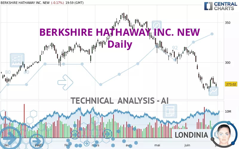 BERKSHIRE HATHAWAY INC. NEW - Daily