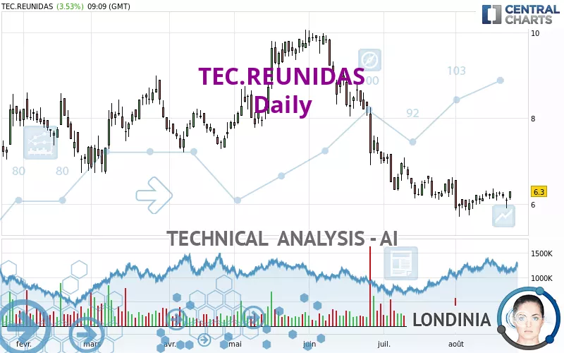 TEC.REUNIDAS - Daily