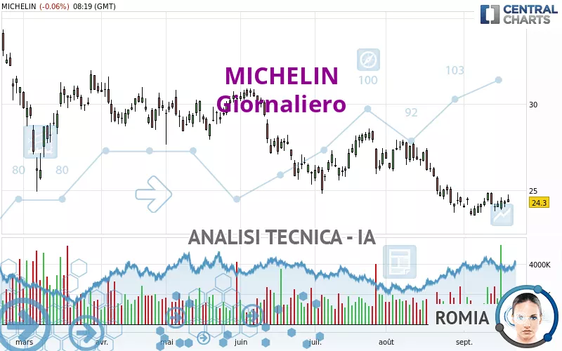 MICHELIN - Giornaliero