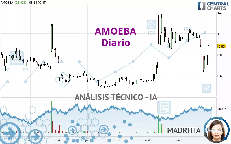 AMOEBA - Diario