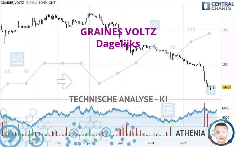 GRAINES VOLTZ - Dagelijks