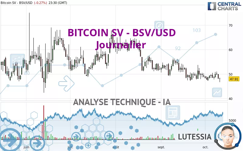 BITCOIN SV - BSV/USD - Journalier