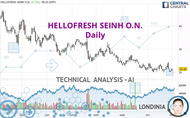 HELLOFRESH SEINH O.N. - Daily