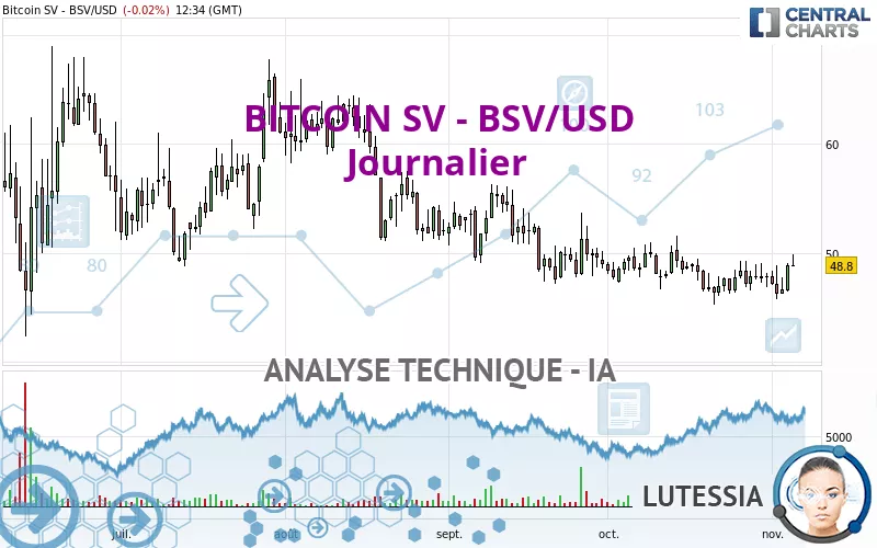 BITCOIN SV - BSV/USD - Journalier