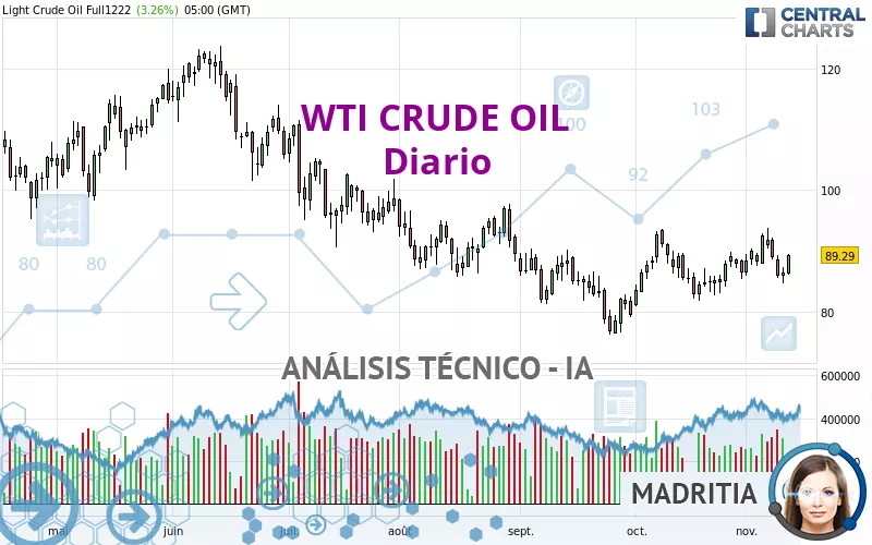 WTI CRUDE OIL - Dagelijks