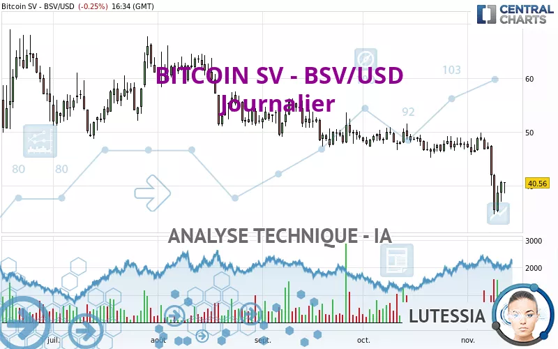 BITCOIN SV - BSV/USD - Journalier