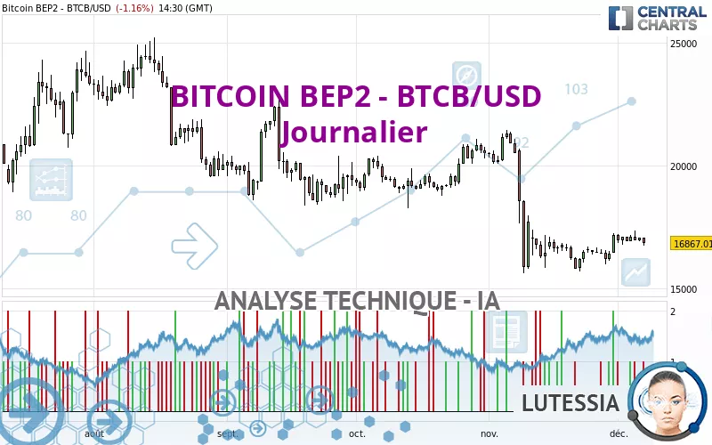 BITCOIN BEP2 - BTCB/USD - Dagelijks