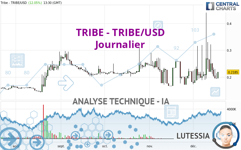 TRIBE - TRIBE/USD - Journalier