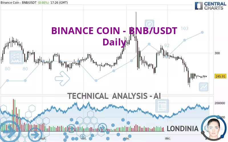 BINANCE COIN - BNB/USDT - Journalier