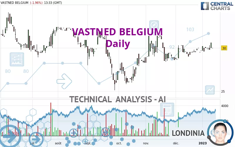 VASTNED BELGIUM - Journalier