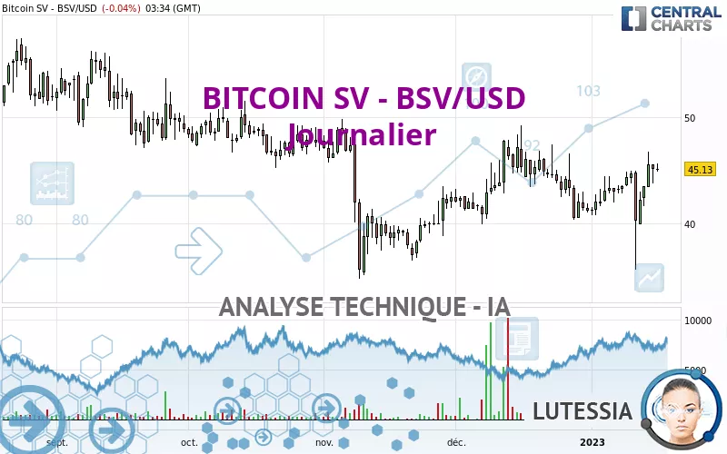 BITCOIN SV - BSV/USD - Journalier