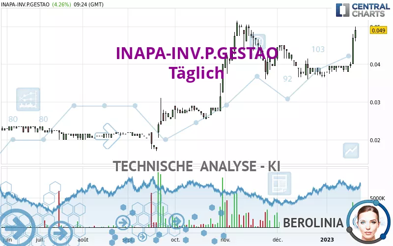 INAPA-INV.P.GESTAO - Dagelijks