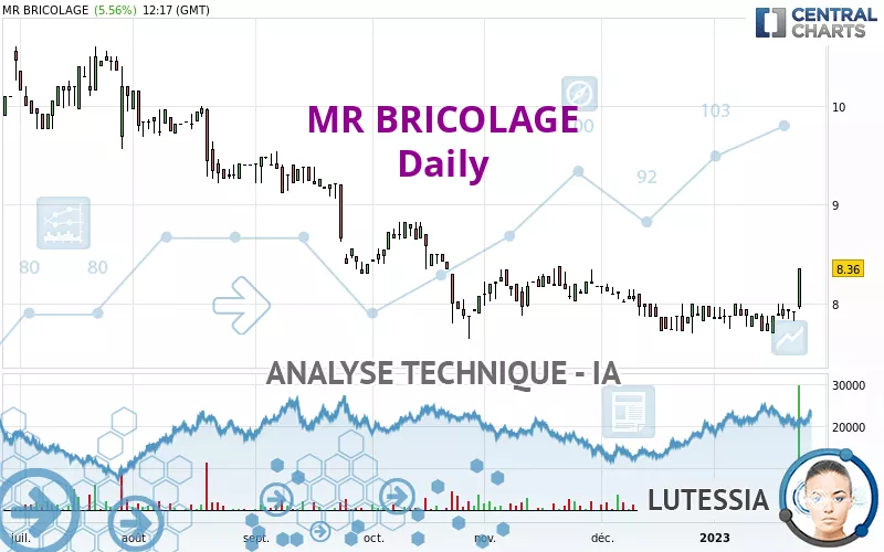 MR BRICOLAGE - Dagelijks