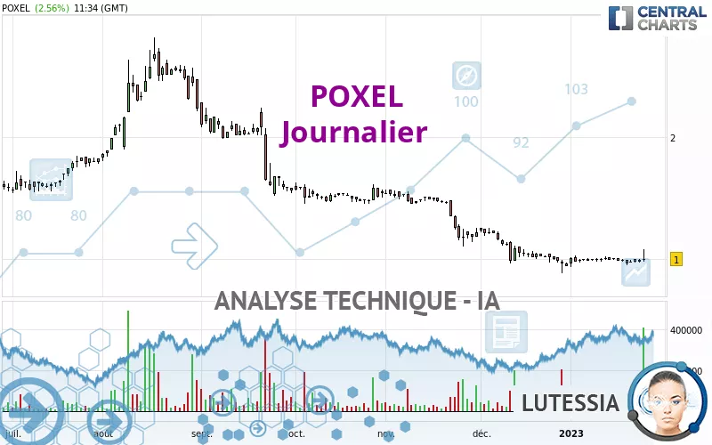 POXEL - Journalier