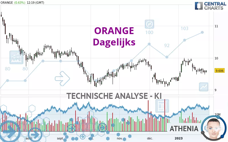 ORANGE - Dagelijks