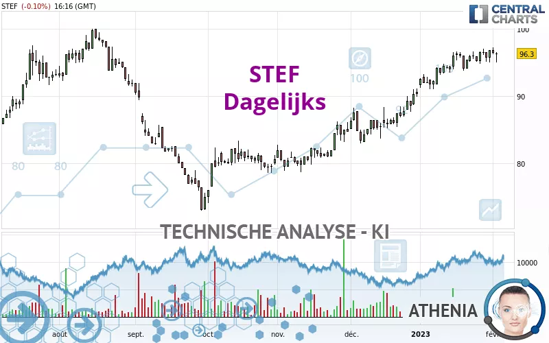 STEF - Dagelijks