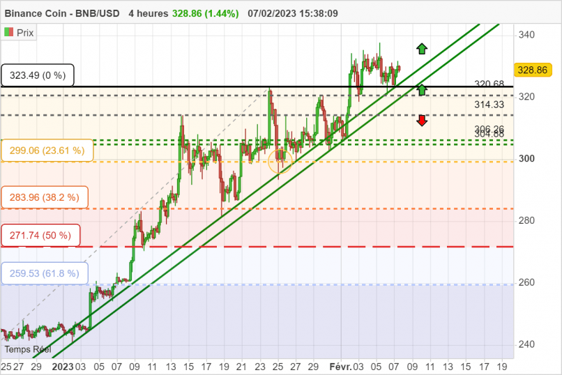 BINANCE COIN - BNB/USD - 4 Std.