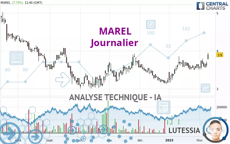 MAREL - Journalier