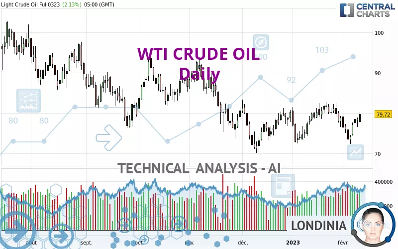 WTI CRUDE OIL - Journalier