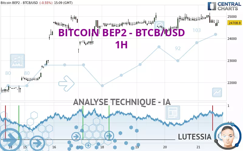 BITCOIN BEP2 - BTCB/USD - 1 uur