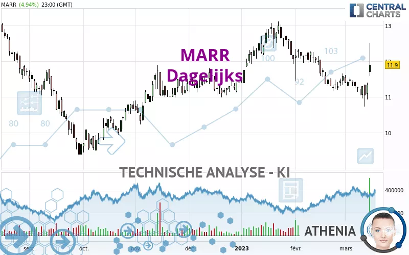 MARR - Dagelijks