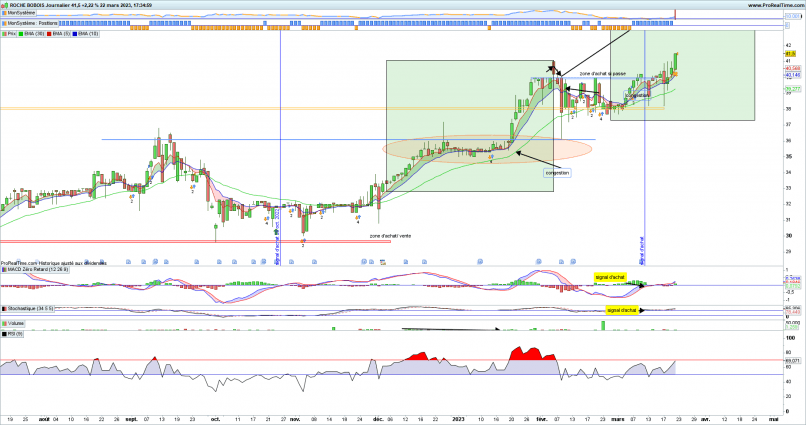 ROCHE BOBOIS - Daily