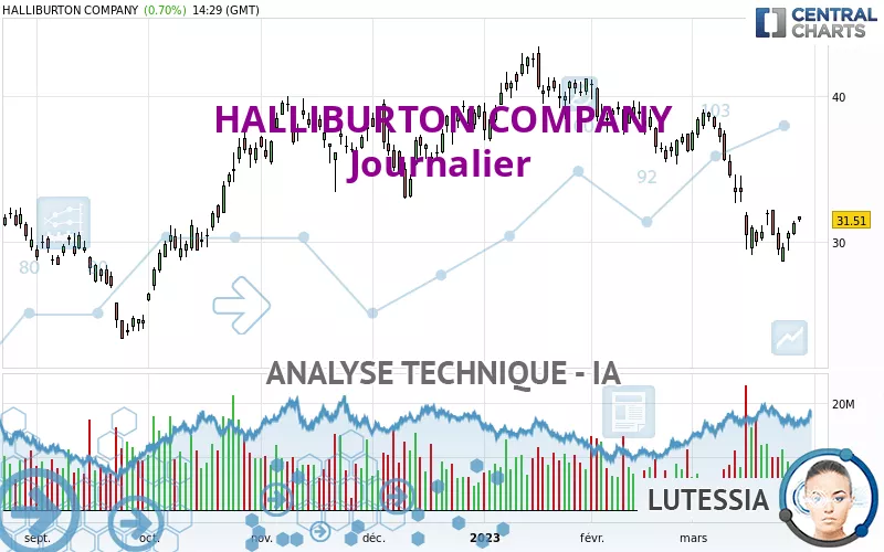 HALLIBURTON COMPANY - Journalier