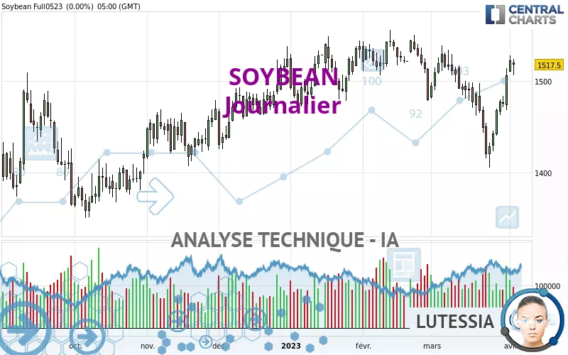 SOYBEAN - Journalier