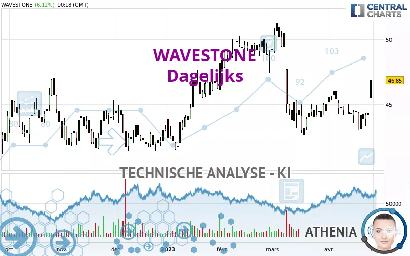 WAVESTONE - Dagelijks