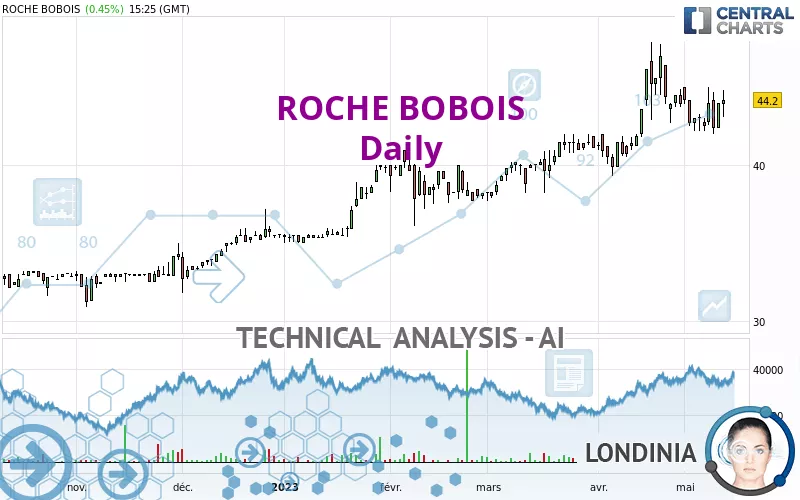 ROCHE BOBOIS - Daily