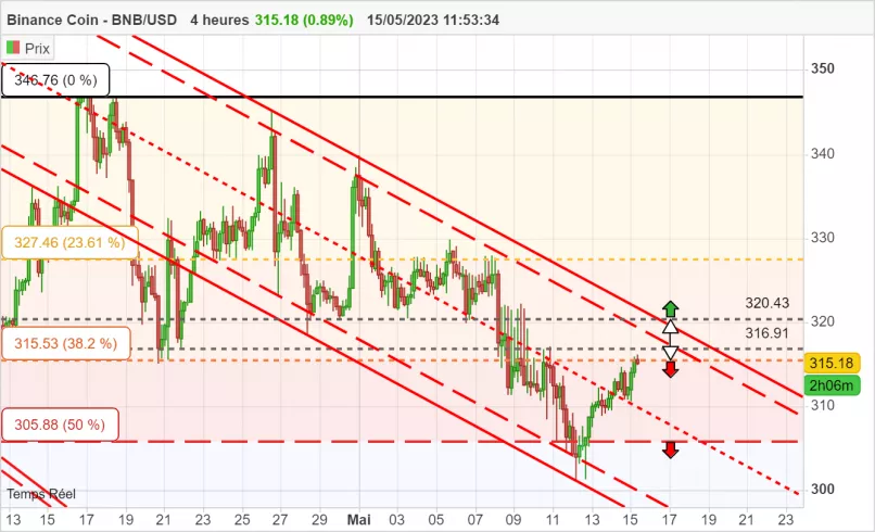 BINANCE COIN - BNB/USD - 4 uur