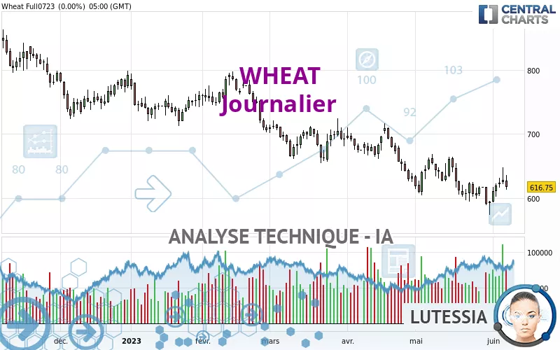 WHEAT - Journalier