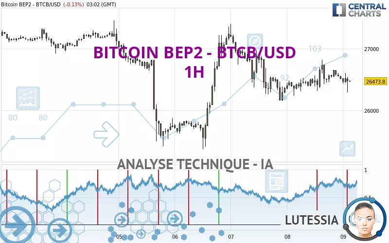 BITCOIN BEP2 - BTCB/USD - 1 uur