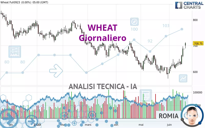 WHEAT - Täglich