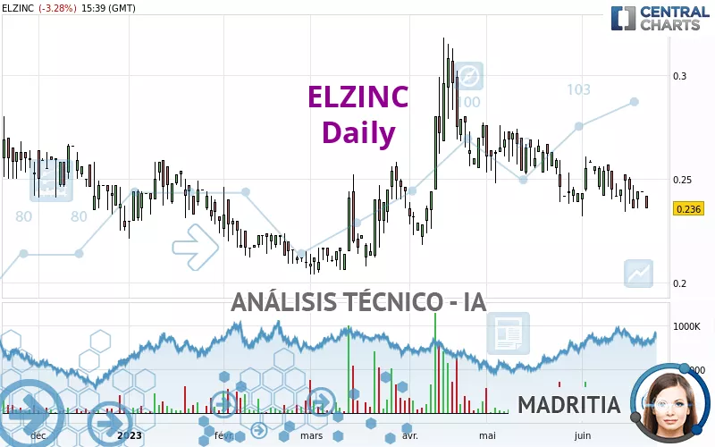 ELZINC - Diario