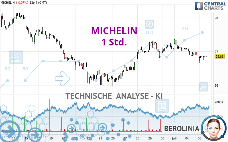 MICHELIN - 1H