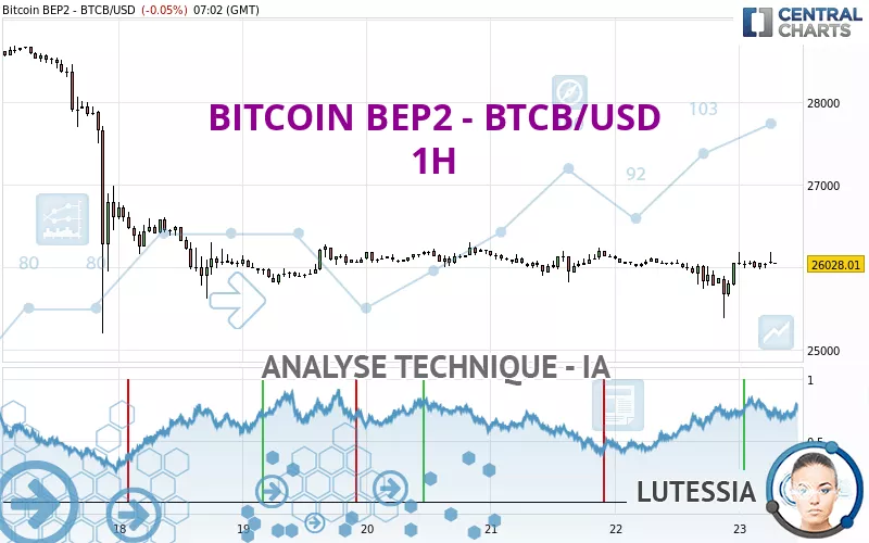 BITCOIN BEP2 - BTCB/USD - 1 uur