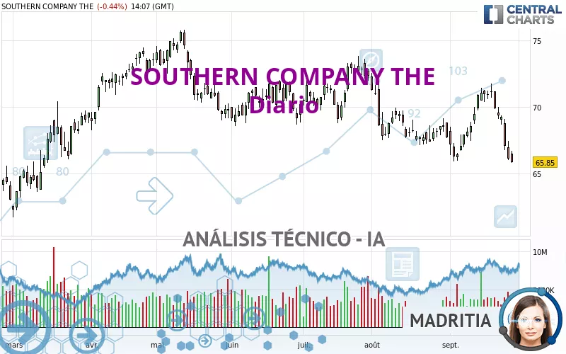 SOUTHERN COMPANY THE - Diario