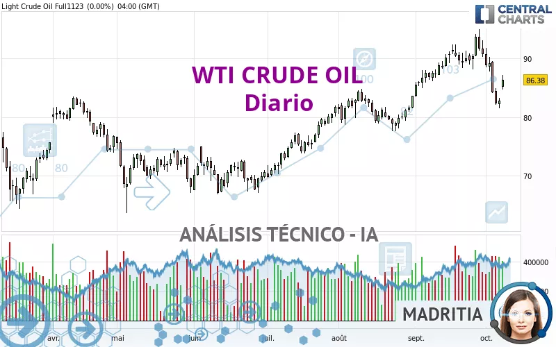 WTI CRUDE OIL - Täglich