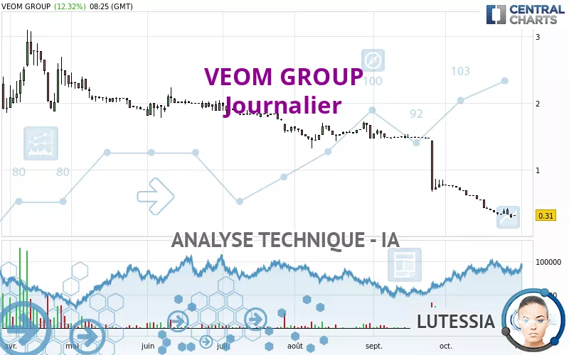 VEOM GROUP - Journalier