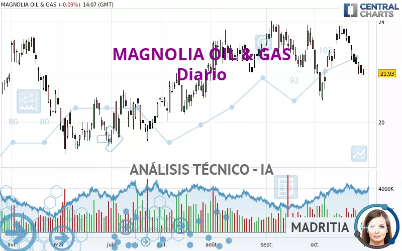 MAGNOLIA OIL &amp; GAS - Diario