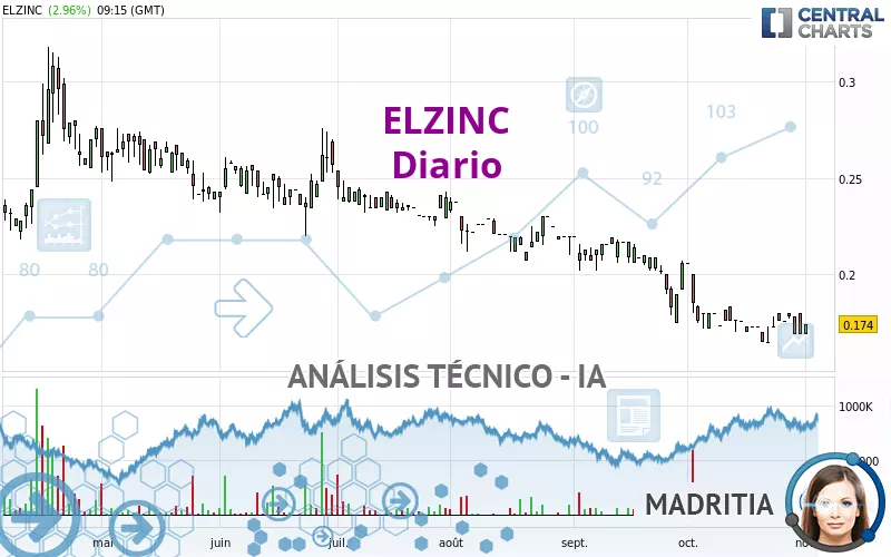 ELZINC - Diario