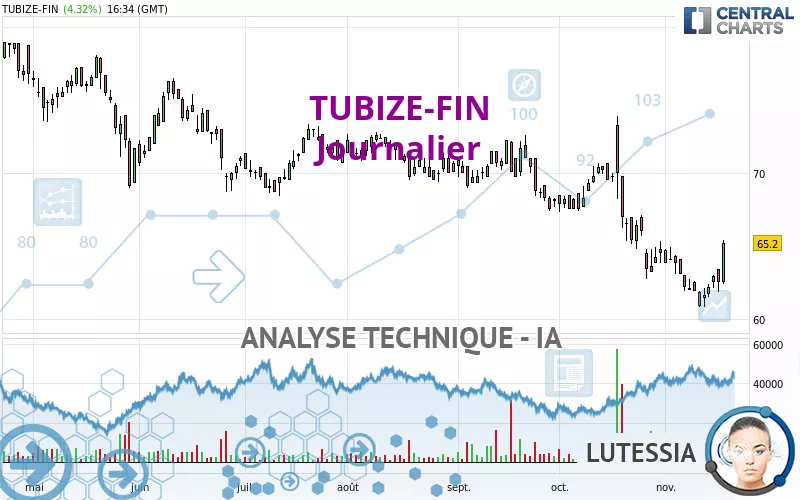 TUBIZE-FIN - Journalier