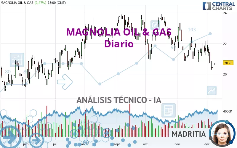 MAGNOLIA OIL &amp; GAS - Diario