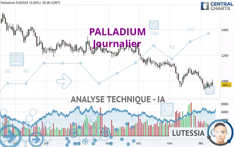 PALLADIUM - Dagelijks